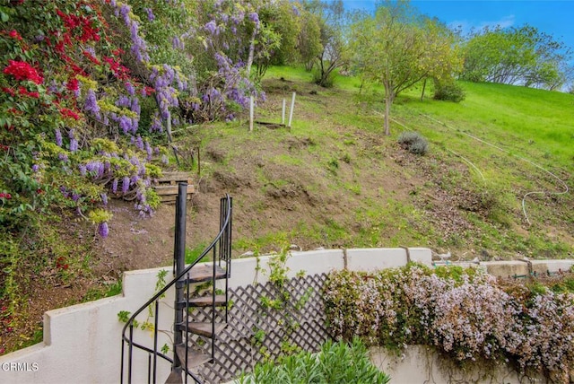 4558 Jessica Dr, Los Angeles, CA 90065 - view of yard