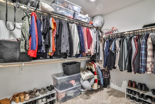 spacious closet with carpet flooring