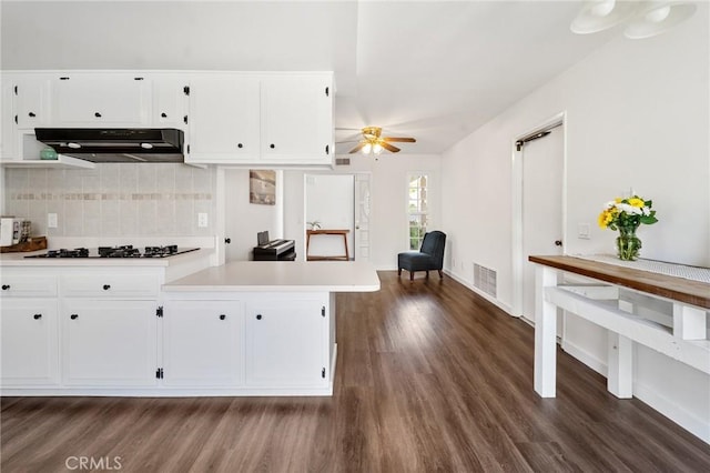 kitchen featuring ceiling fan, dark wood-style floors, light countertops, under cabinet range hood, and tasteful backsplash