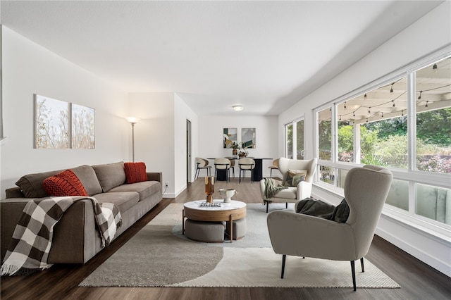 living room featuring plenty of natural light and dark wood-style flooring