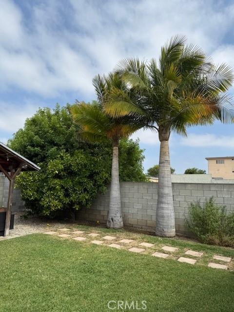 13305 Cordary Ave, Hawthorne, CA 90250 - view of yard