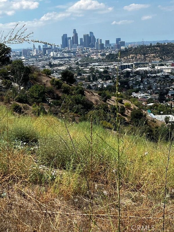 3235 Johnston St, Lincoln Heights, CA 90031