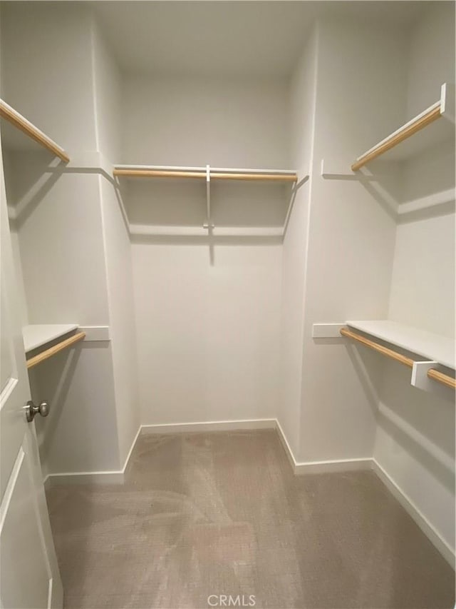 spacious closet with carpet flooring