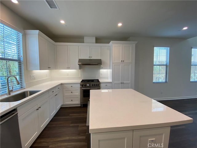 kitchen featuring recessed lighting, stainless steel appliances, dark wood-type flooring, under cabinet range hood, and a sink