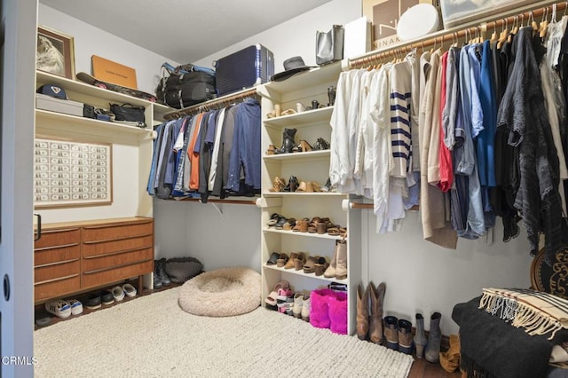 view of walk in closet