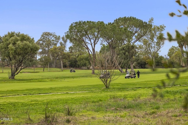 view of property's community with a yard
