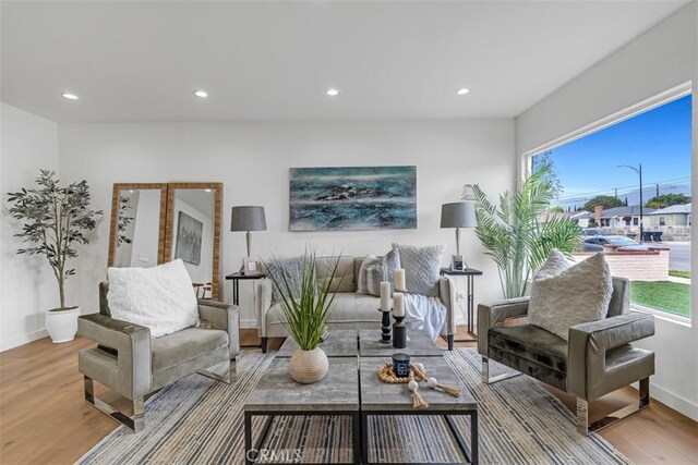 living area featuring baseboards, wood finished floors, and a wealth of natural light