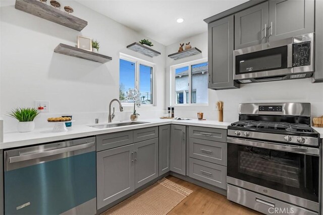kitchen with open shelves, gray cabinets, a sink, light wood-style flooring, and stainless steel appliances