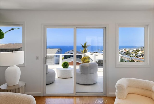 entryway featuring a water view, baseboards, and light wood-style floors