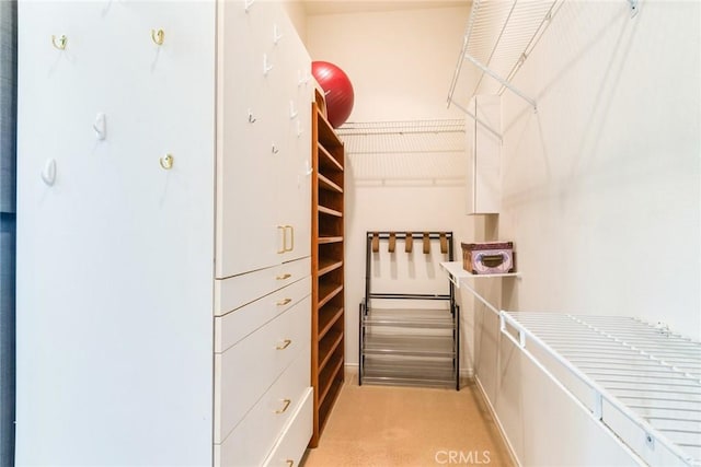spacious closet featuring light colored carpet