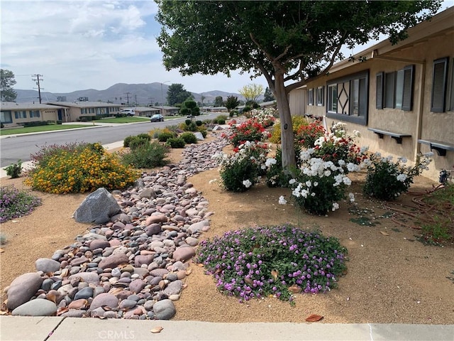 26930 Augusta Dr, Menifee, CA 92586 - photo 2
