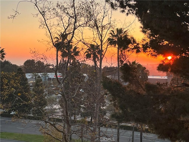 view of nature at dusk