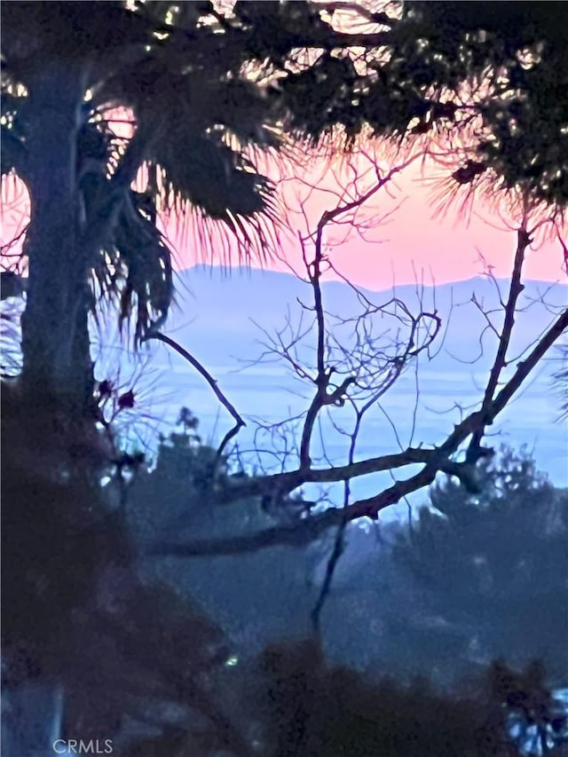 water view