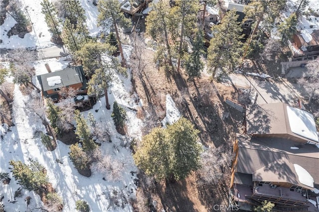0 Pigeon Rd, Big Bear Lake, CA 92315 - photo 17
