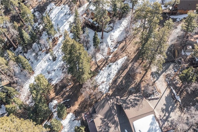 0 Pigeon Rd, Big Bear Lake, CA 92315 - photo 14