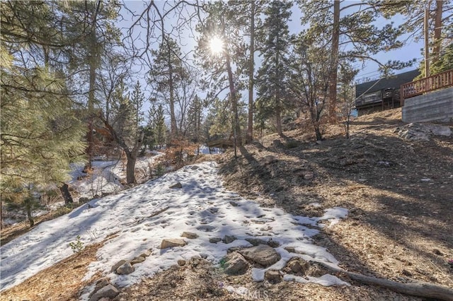 0 Pigeon Rd, Big Bear Lake, CA 92315 - photo 11