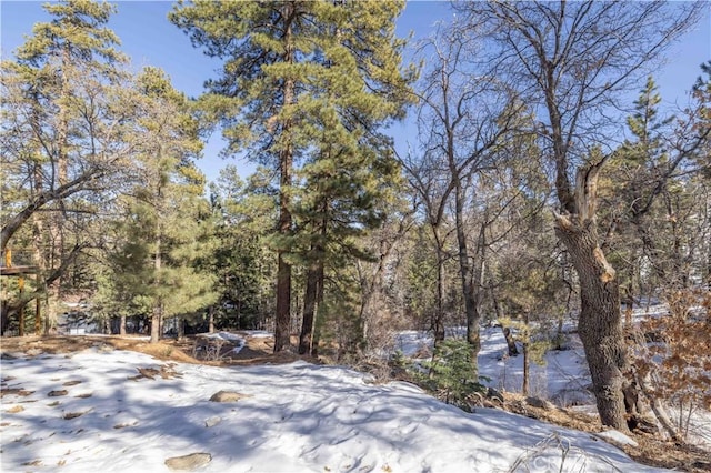 0 Pigeon Rd, Big Bear Lake, CA 92315 - photo 1