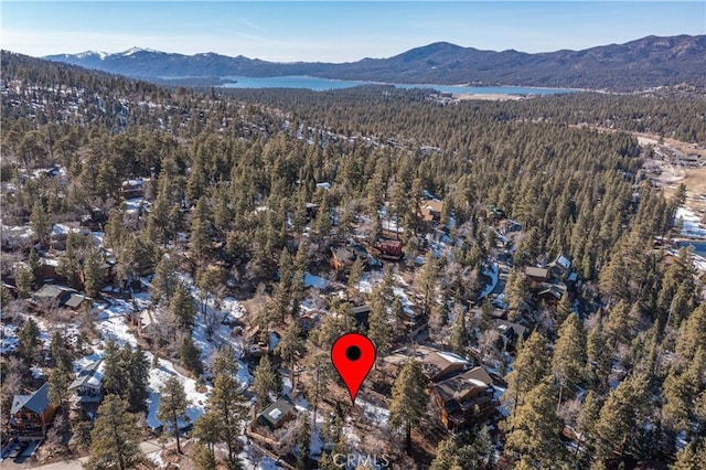 0 Pigeon Rd, Big Bear Lake, CA 92315 - photo 19