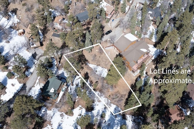 0 Pigeon Rd, Big Bear Lake, CA 92315 - photo 4
