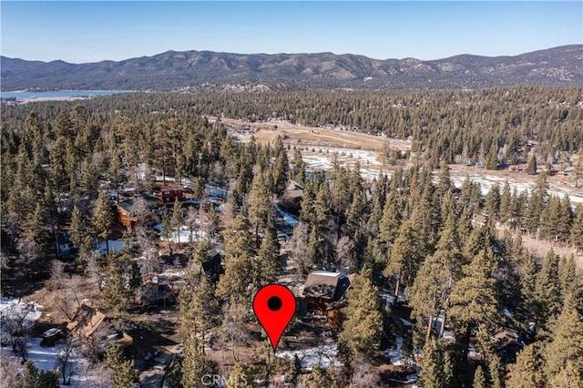 0 Pigeon Rd, Big Bear Lake, CA 92315 - photo 18