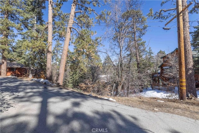 0 Pigeon Rd, Big Bear Lake, CA 92315 - photo 8