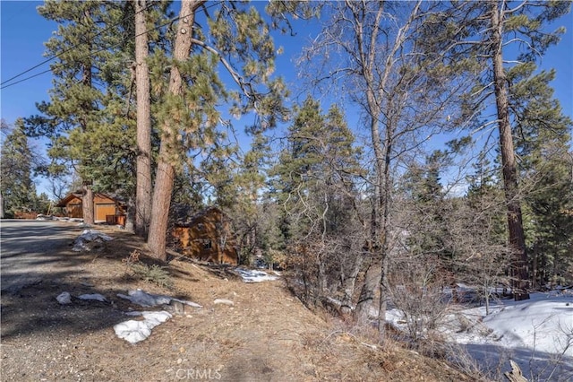 0 Pigeon Rd, Big Bear Lake, CA 92315 - photo 9