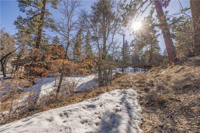 0 Pigeon Rd, Big Bear Lake, CA 92315 - photo 6