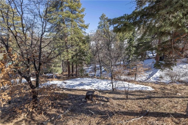0 Pigeon Rd, Big Bear Lake, CA 92315 - photo 5