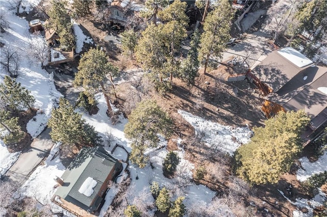 0 Pigeon Rd, Big Bear Lake, CA 92315 - photo 16
