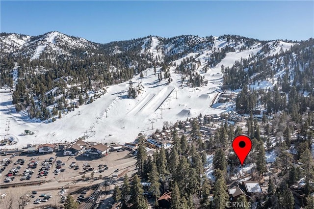 0 Pigeon Rd, Big Bear Lake, CA 92315 - photo 2