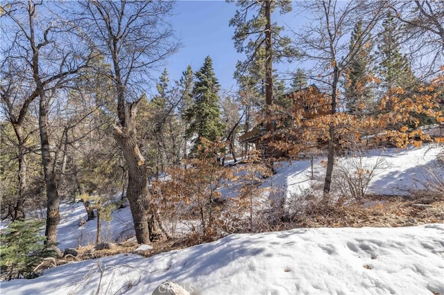 0 Pigeon Rd, Big Bear Lake, CA 92315 - photo 7
