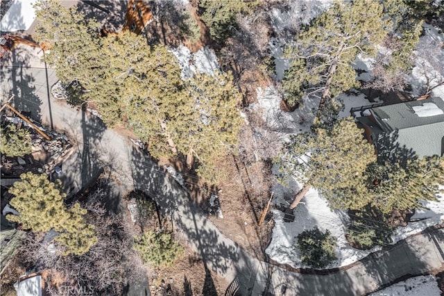 0 Pigeon Rd, Big Bear Lake, CA 92315 - photo 13