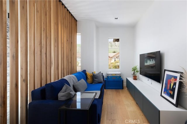 living area with light wood-type flooring