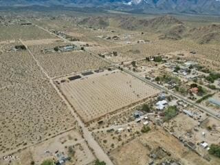 9125 Mesa Rd, Lucerne Valley, CA 92356 - photo 43