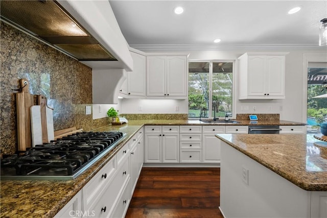 kitchen with stainless steel appliances, a sink, dark wood finished floors, dark stone countertops, and under cabinet range hood