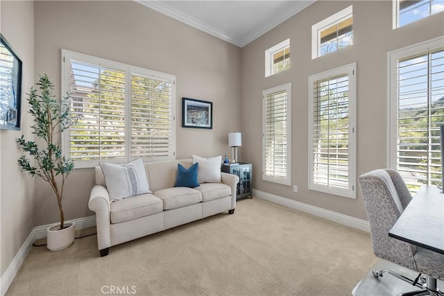 office space with carpet, baseboards, and crown molding