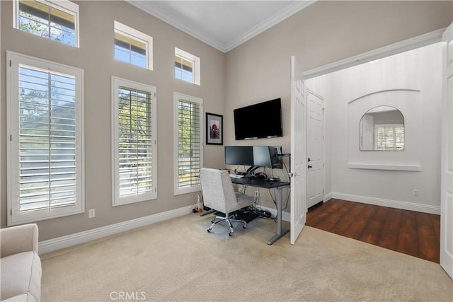 carpeted home office featuring crown molding, plenty of natural light, baseboards, and wood finished floors