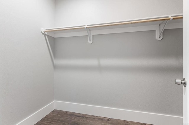 spacious closet featuring dark wood-type flooring