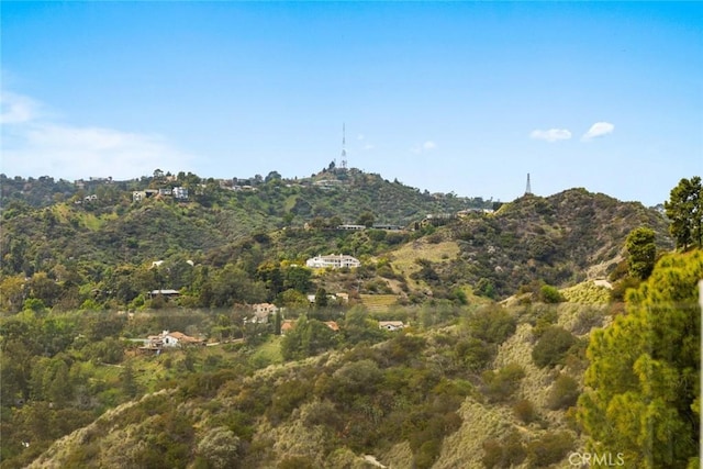 view of mountain feature