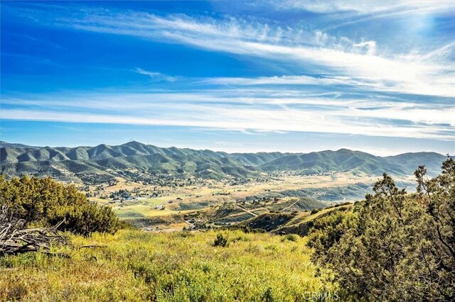 48725 Shallow Springs Rd N, Leona Valley, CA 93551 - photo 50