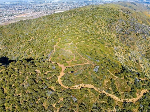 48725 Shallow Springs Rd N, Leona Valley, CA 93551 - photo 22