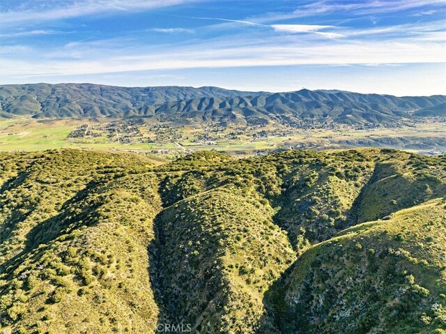 48725 Shallow Springs Rd N, Leona Valley, CA 93551 - photo 29