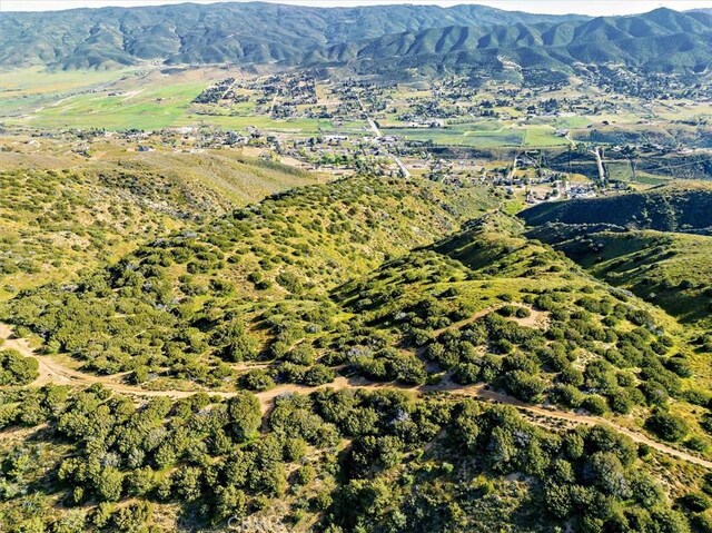 48725 Shallow Springs Rd N, Leona Valley, CA 93551 - photo 11