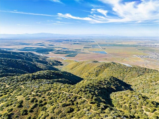 48725 Shallow Springs Rd N, Leona Valley, CA 93551 - photo 25