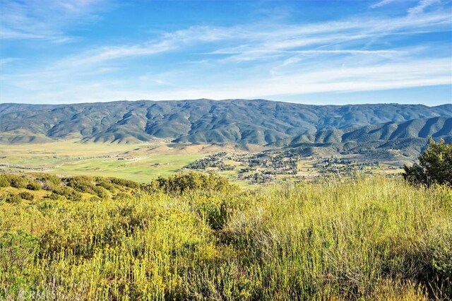 48725 Shallow Springs Rd N, Leona Valley, CA 93551 - photo 39