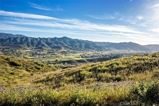 48725 Shallow Springs Rd N, Leona Valley, CA 93551 - photo 46