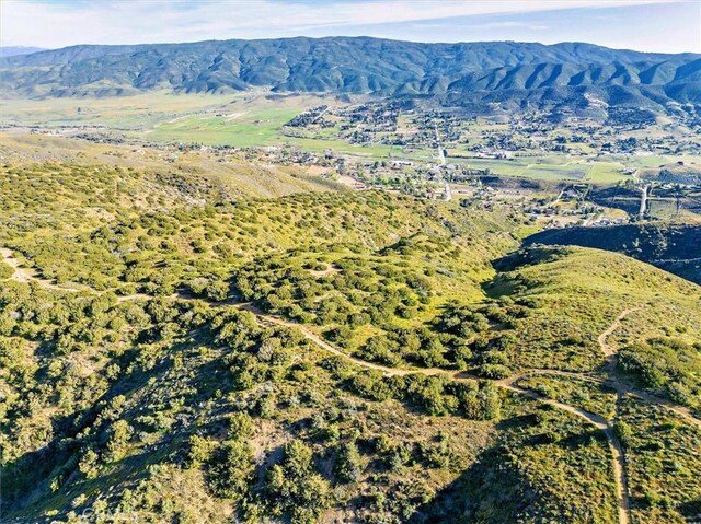 48725 Shallow Springs Rd N, Leona Valley, CA 93551 - photo 30