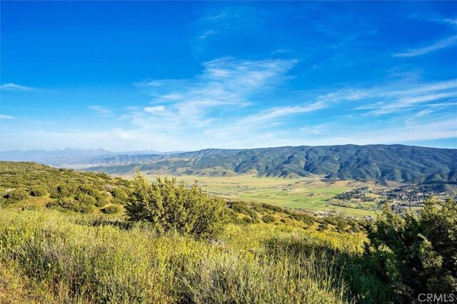 48725 Shallow Springs Rd N, Leona Valley, CA 93551 - photo 40