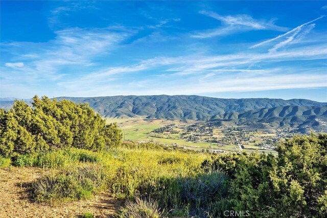 48725 Shallow Springs Rd N, Leona Valley, CA 93551 - photo 41