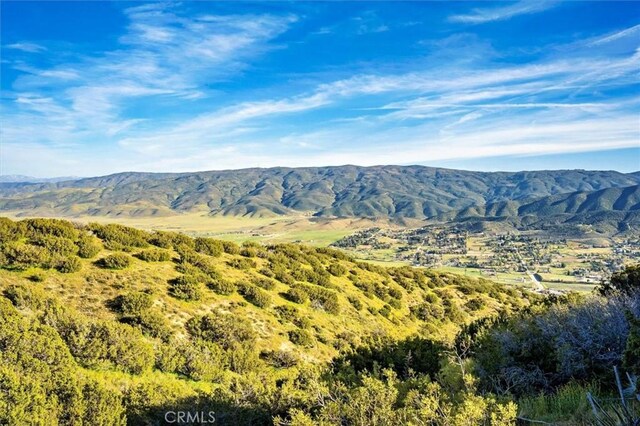 48725 Shallow Springs Rd N, Leona Valley, CA 93551 - photo 35